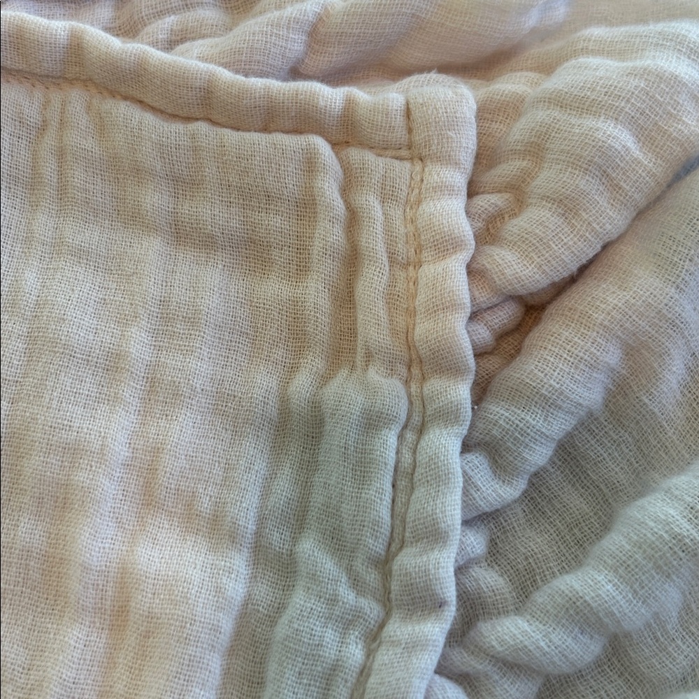 RH TEEN Tattered & Ruffled Posy Pink Gauze Euro Sham Restoration Hardware - Picture 8 of 12